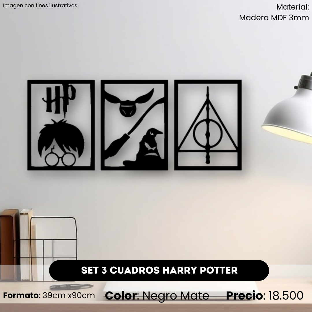 Set Cuadros Harry Potter