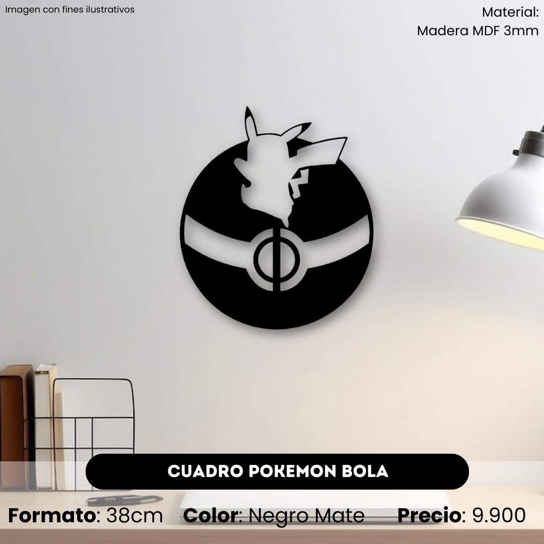 Cuadro Pokemon Bola