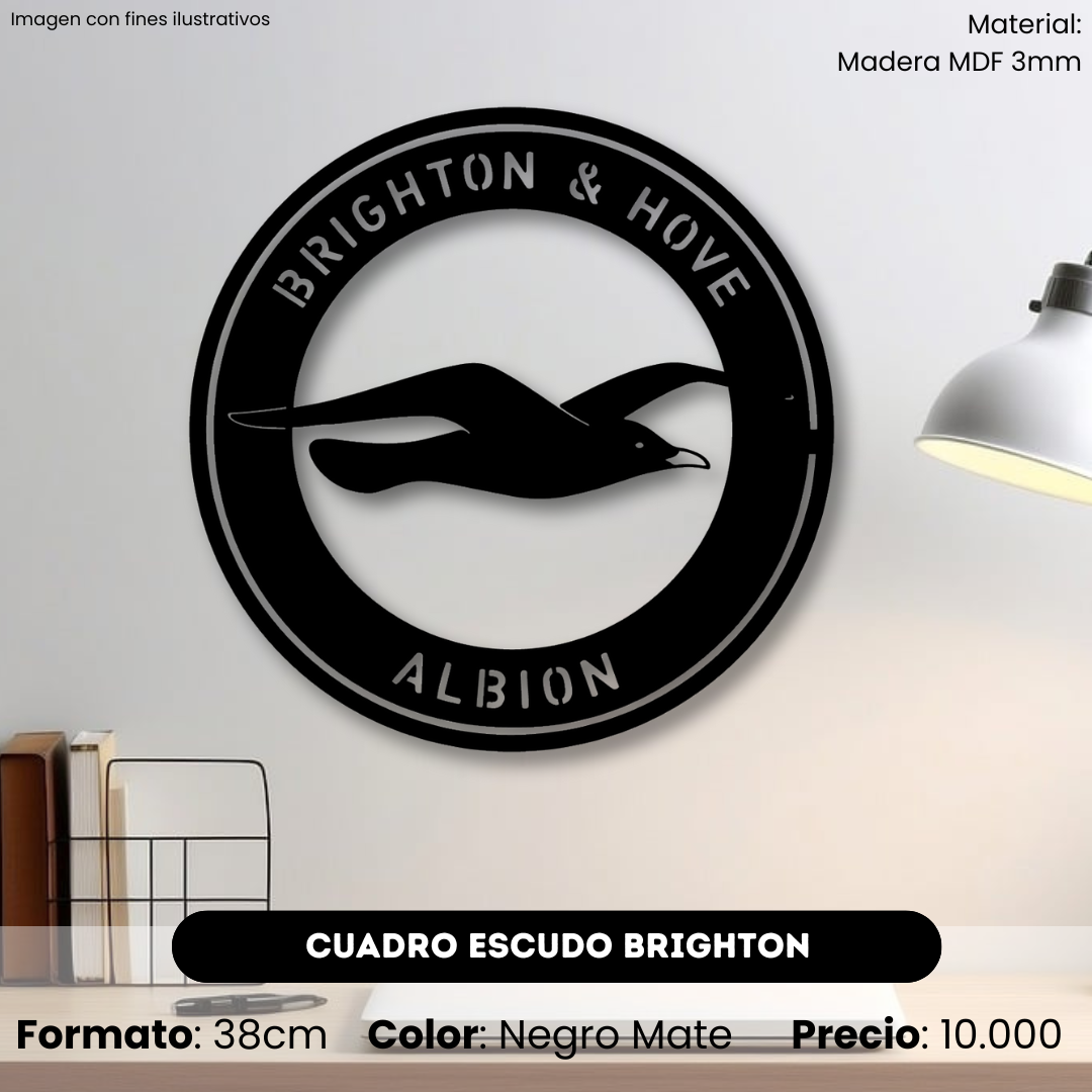 Cuadro Escudo Brighton