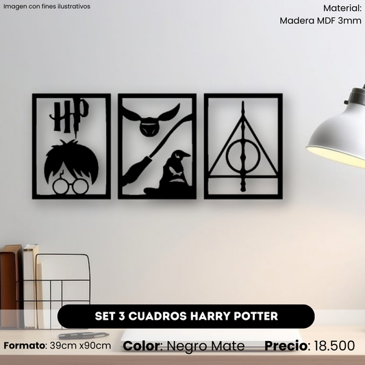 Set Cuadros Harry Potter