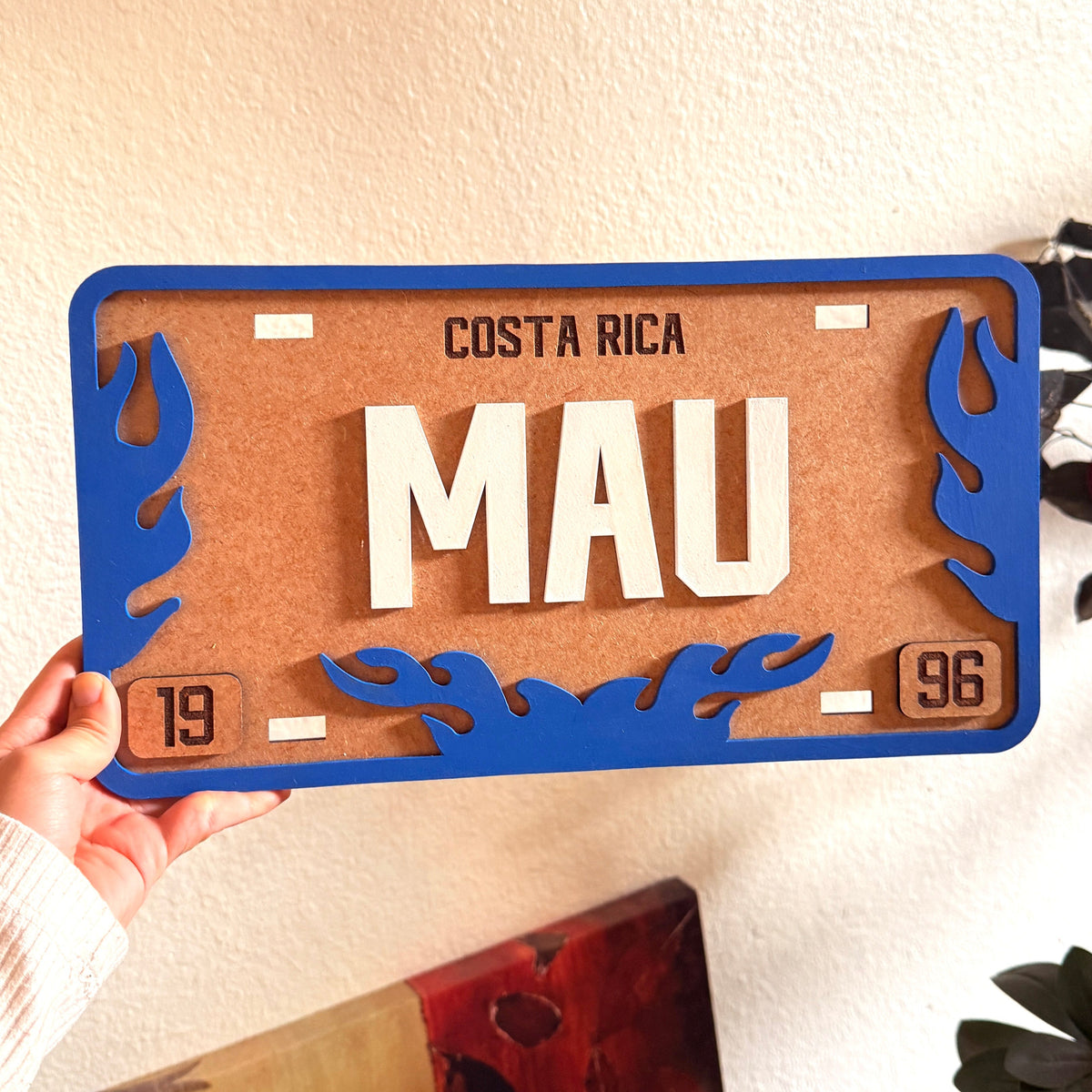Placas Personalizadas